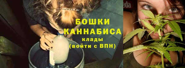 стаф Валдай