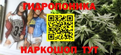 ECSTASY Будённовск