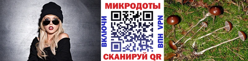 Псилоцибиновые грибы GOLDEN TEACHER  OMG зеркало  Югорск 