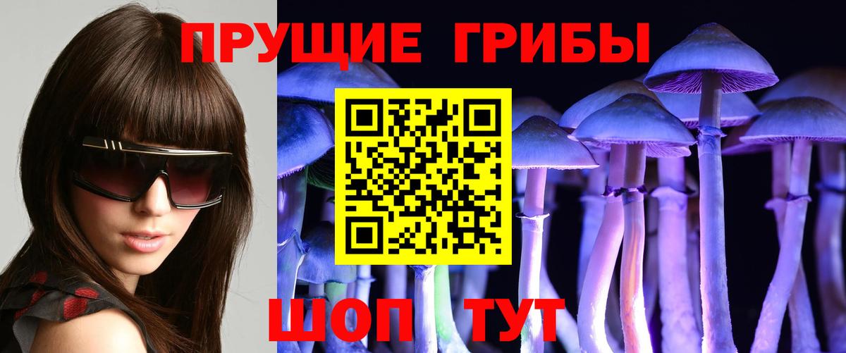 Югорск  Псилоцибиновые грибы прущие грибы  цены   Псилоцибиновые грибы MAGIC MUSHROOMS  Вход с VPN 